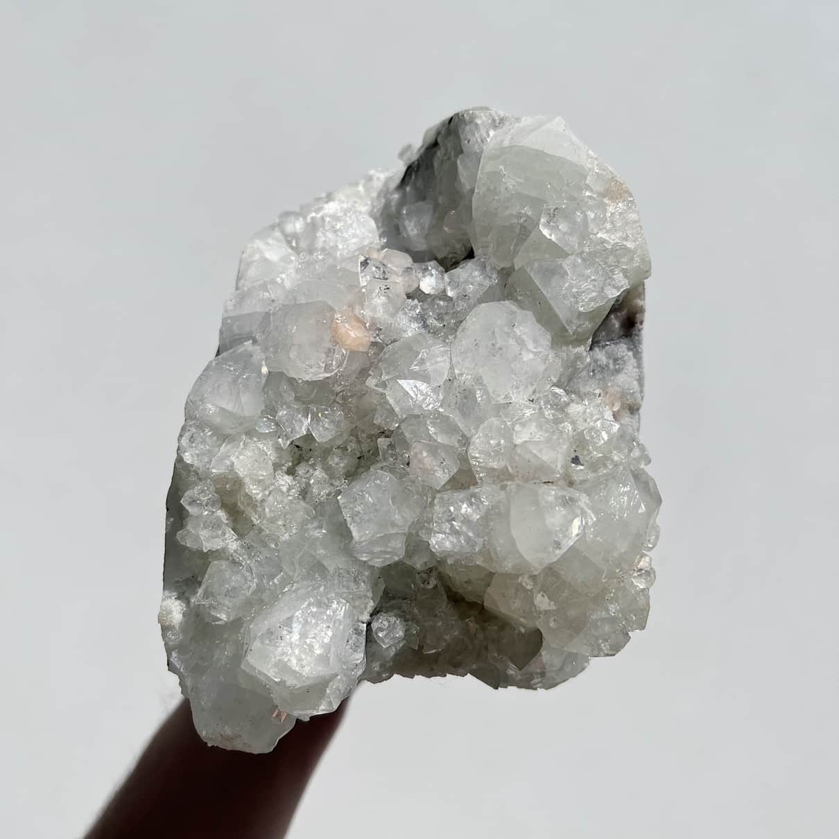 Large Apophyllite Cluster #X1