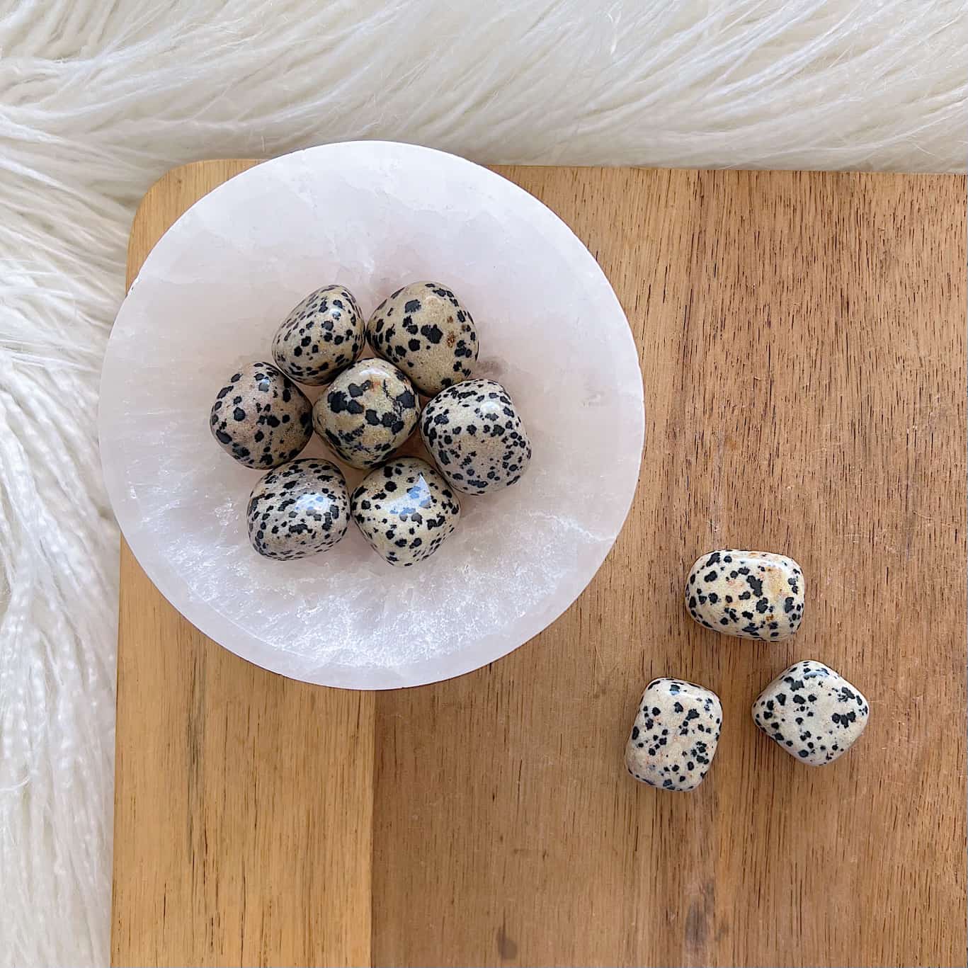 Dalmatian Jasper Tumble