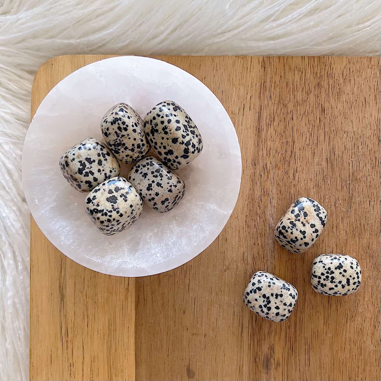 Dalmatian Jasper Tumble